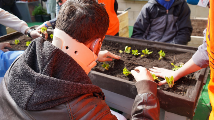 Vall d’Hebron ha renovat l’hort terapèutic situat al costat de l’Hospital de Traumatologia, Rehabilitació i Cremats