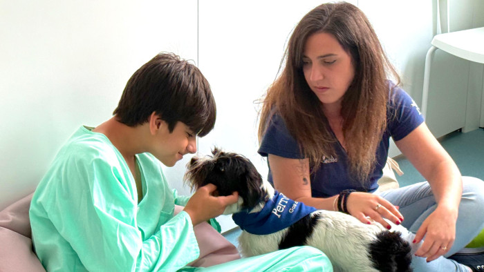 Terapia assistida amb gossos