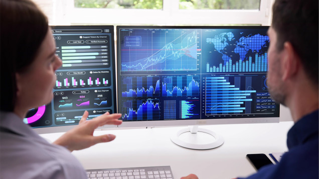 Dues persones revisant dades a l'ordinador