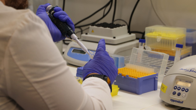 Laboratori