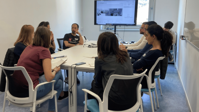 Curs avançat d'instructors en simulació