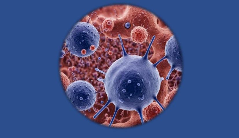 III JORNADA DIA DE LA IMMUNOLOGIA