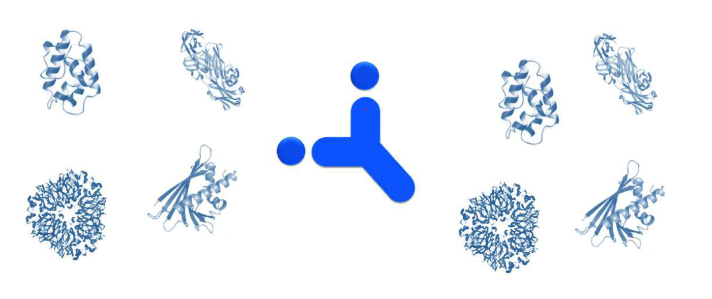 Portada Curs Molecular Residents