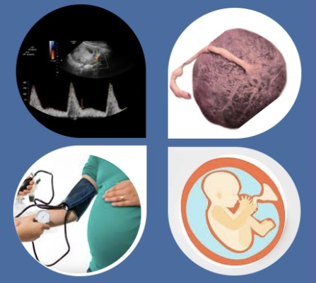 Portada del curs de creixement intrauterí restringit (CIR)