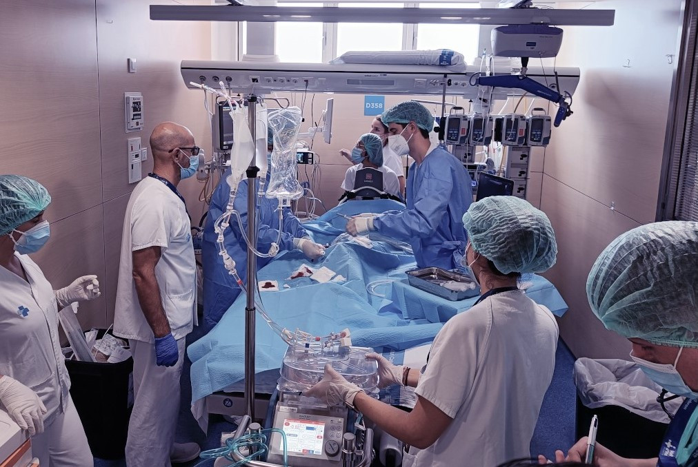 Procediment d'Ecmo a l'Hospital Vall d'Hebron