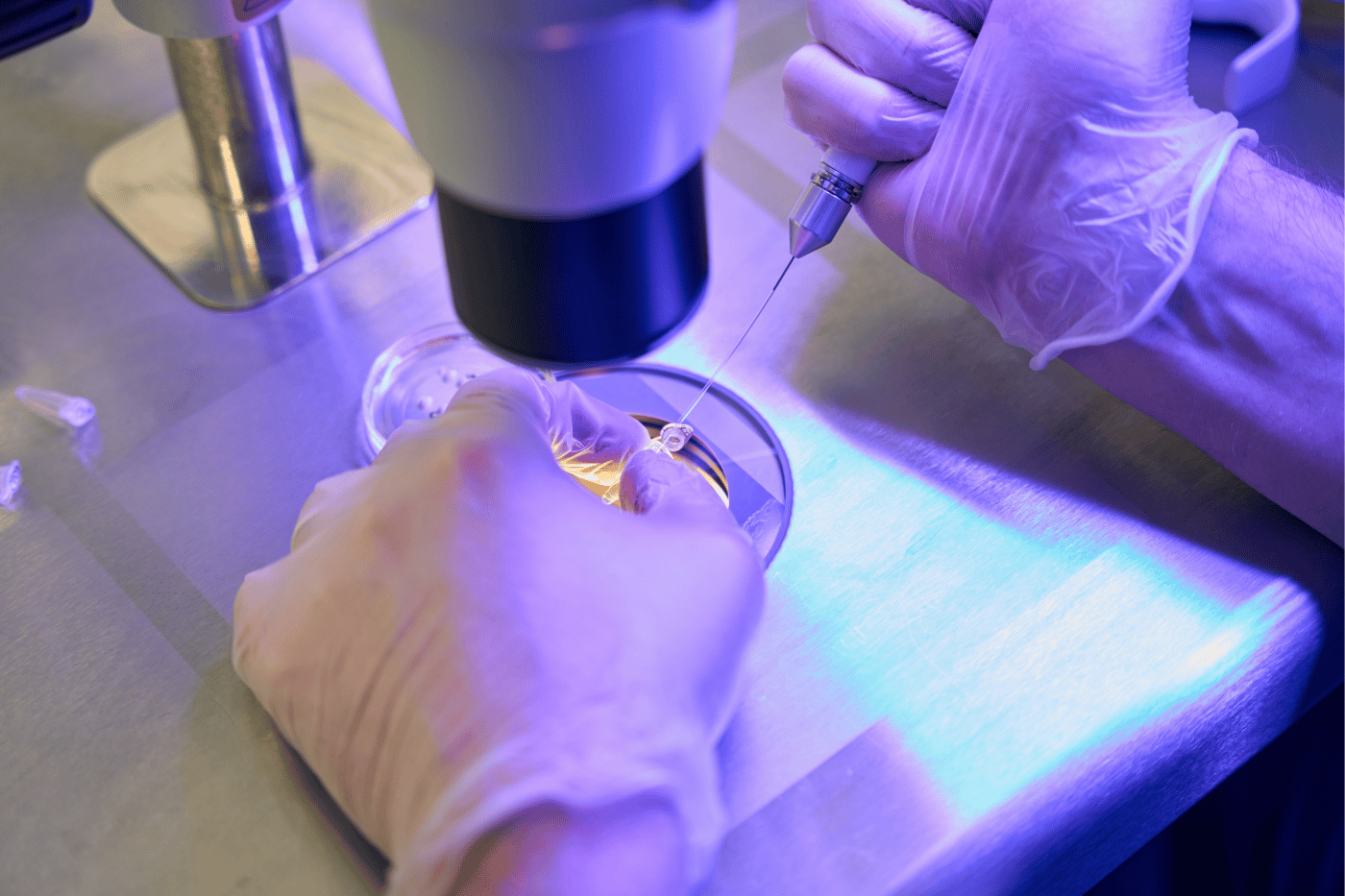 Laboratori