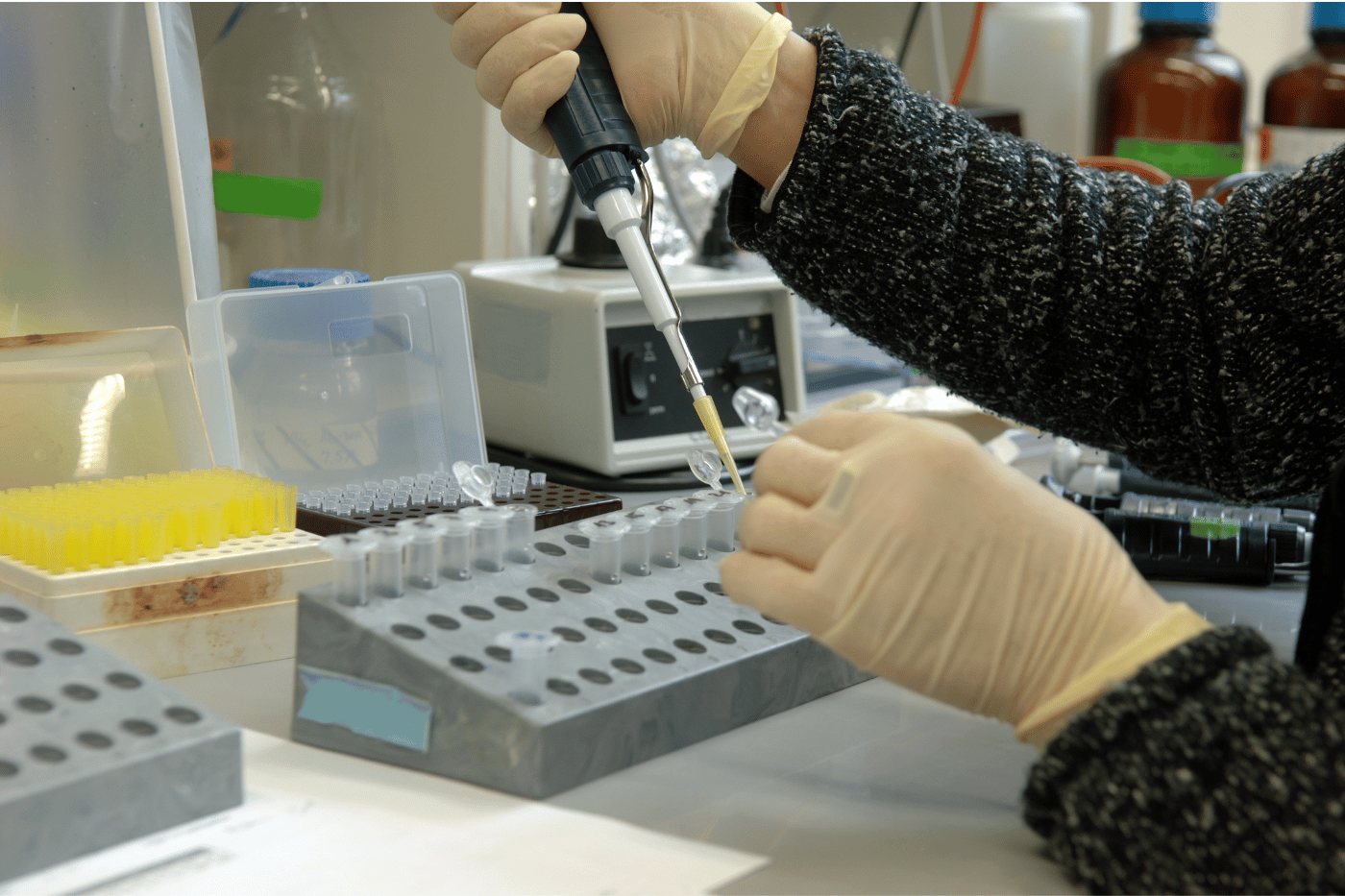 Laboratori