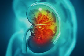 Trasplantament renal