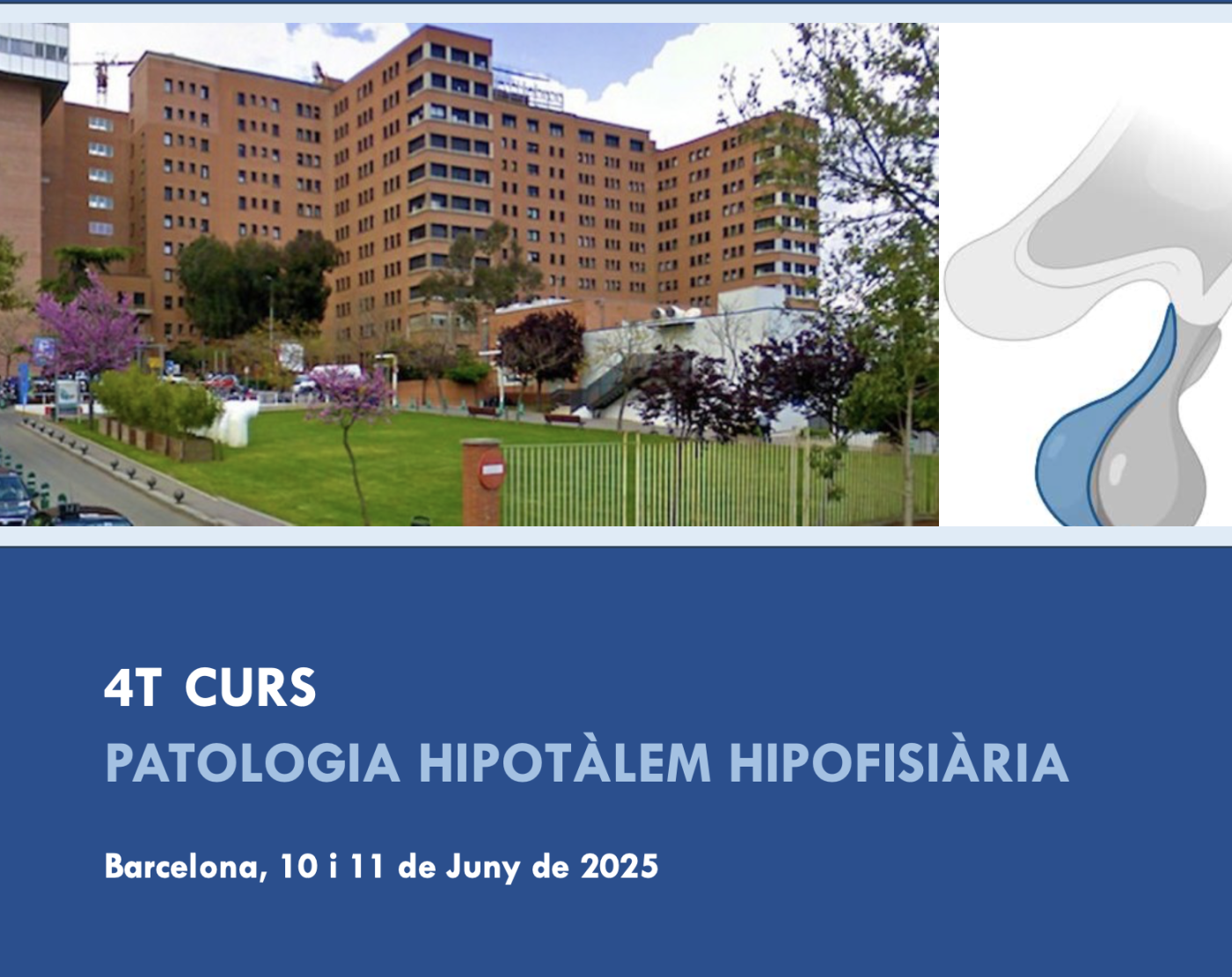 portada_hipofisia