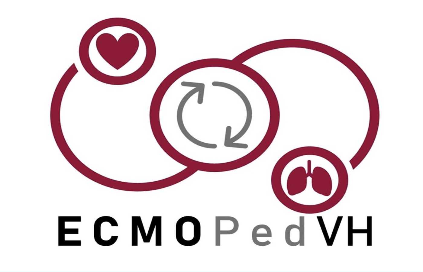 curso ecmoped