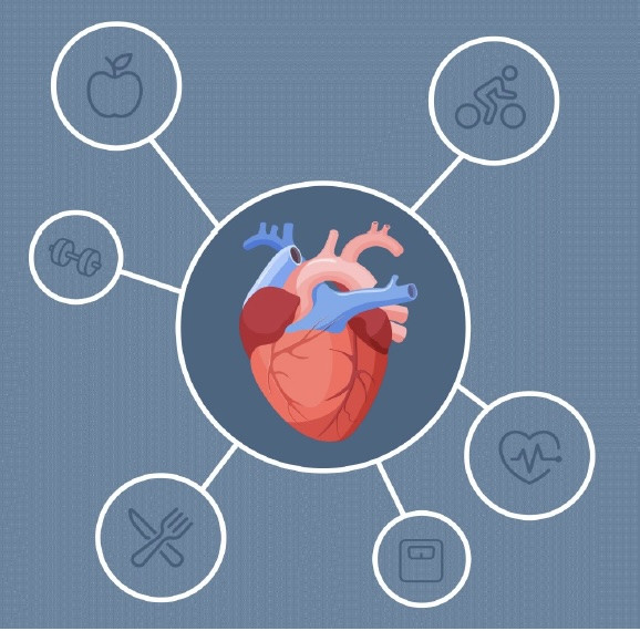 jornades de rehabilitació cardíaca