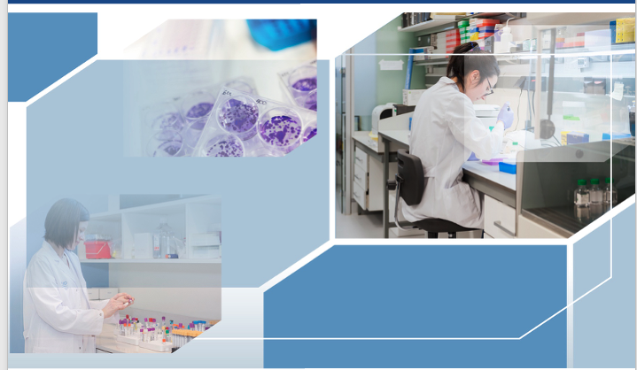 ImagenAintcoagulacion26