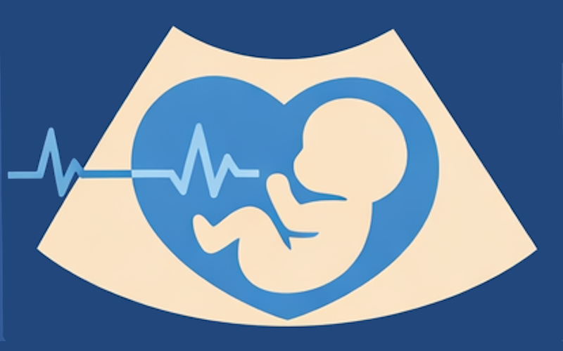FA_CardioFetal