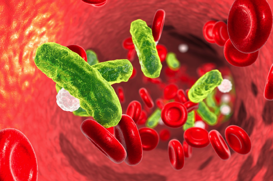 Curs Maneig Avançat del Xoc Septic Refractari Basat en Simulació. Hemoadsorció amb Polimixina B com a teràpia complementària.