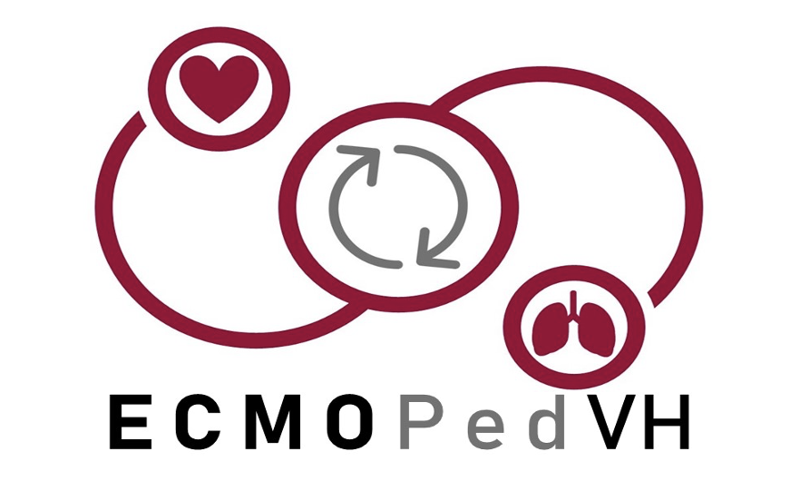 ECMOPED 26