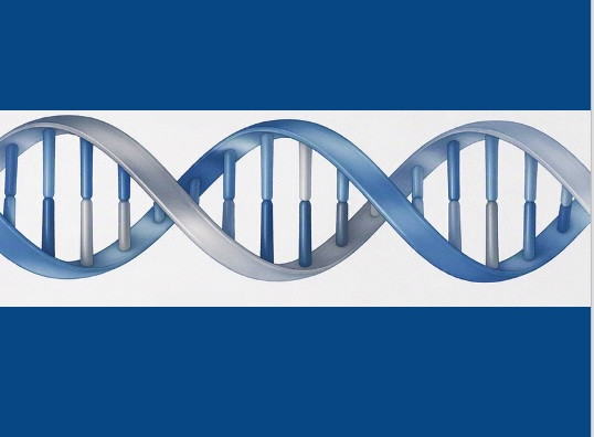 Genómica aplicada: transformando el diagnóstico en pacientes con enfermedades minoritarias