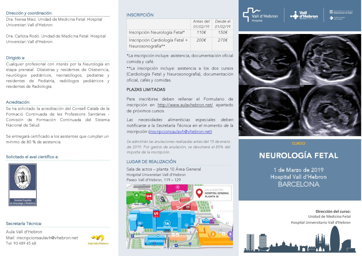 Curs neurologia fetal